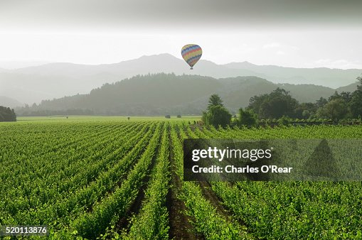 Balloon over Napa Valley