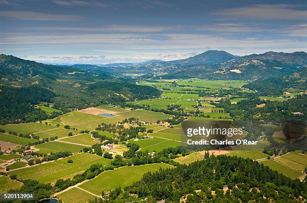aerial with mt st. helena in distance - napa valley foto e immagini stock
