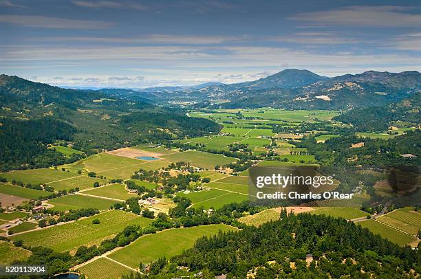 aerial with mt st. helena in distance - napa valley stockfoto's en -beelden