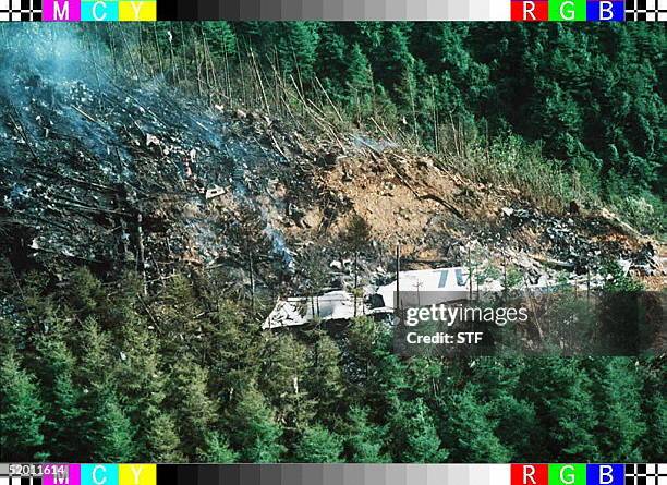 Photo dated 13 August 1985 shows a wing from the Japan Air Lines Boeing 747 that crashed near Fujikoa, Japan with a reported 524 people aboard.