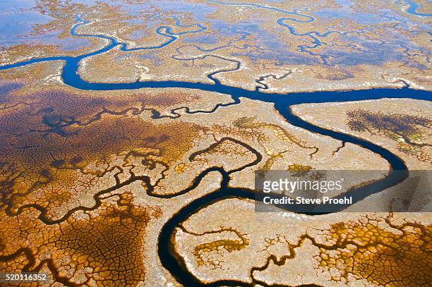 salt marsh patterns - tidal marsh stock pictures, royalty-free photos & images