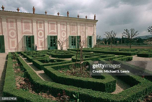 maze of shaped hedges - pitti fotografías e imágenes de stock