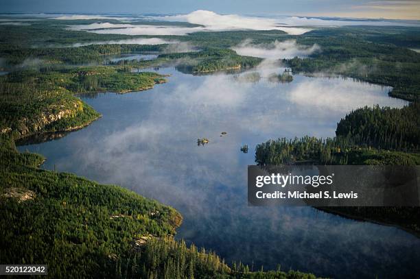 aerial view of woodland caribou provincial park - woodland caribou stock pictures, royalty-free photos & images