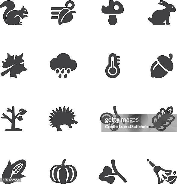 herbst kontur icons/eps10 - nuss stock-grafiken, -clipart, -cartoons und -symbole