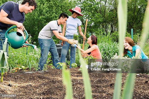 group working in community garden - community garden volunteer stock pictures, royalty-free photos & images