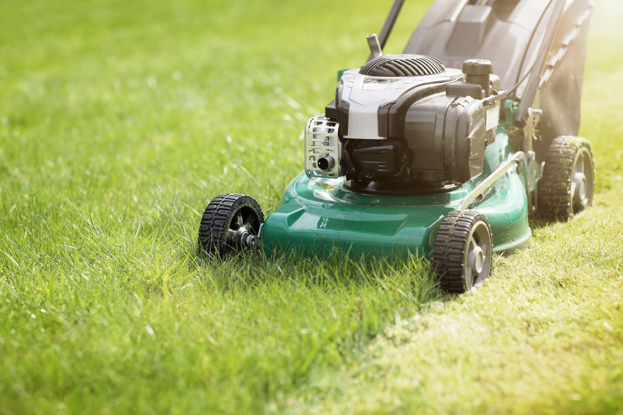 lawn care service