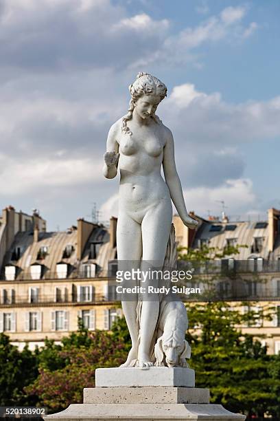 statue in jardin des tuileries - statue paris photos et images de collection