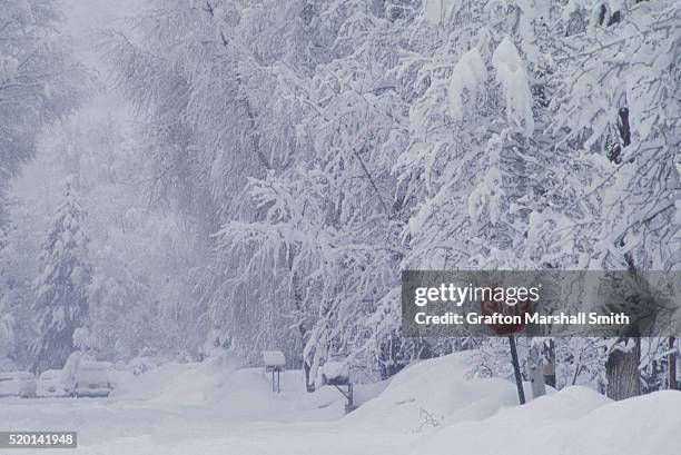 stop sign on a snow covered street - nieve profunda fotografías e imágenes de stock