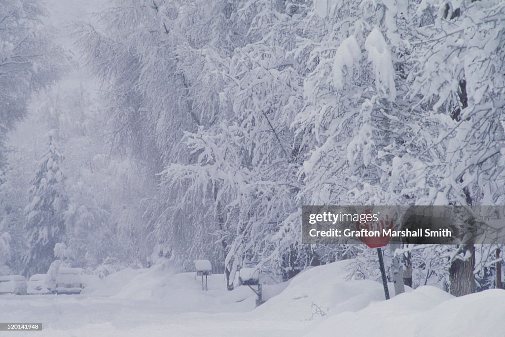 Stop Sign on a Snow Covered Street