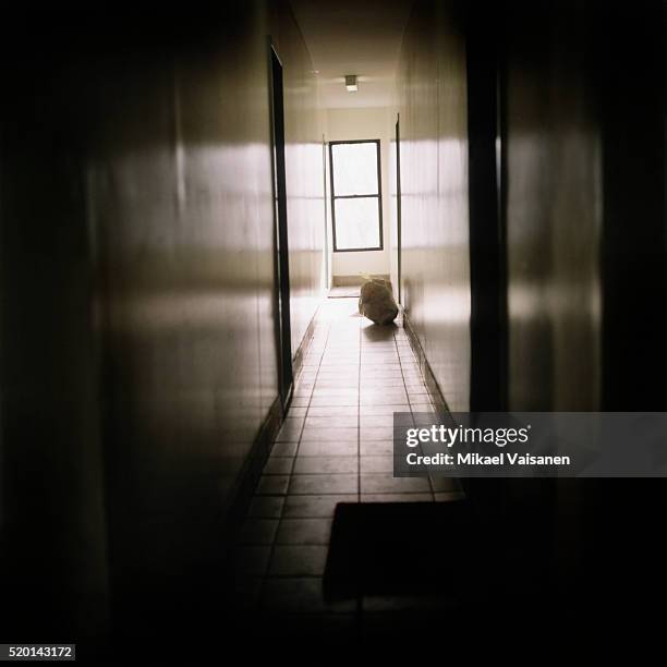 dustbin liner in hallway - müllsack stock-fotos und bilder