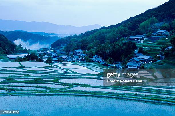 rice paddies in nara prefecture - 奈良県 ストックフォトと画像