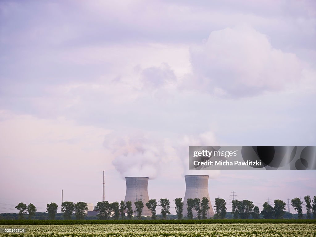 Cooling Towers and Power Lines of Nuclear Power Plant and Flower Field