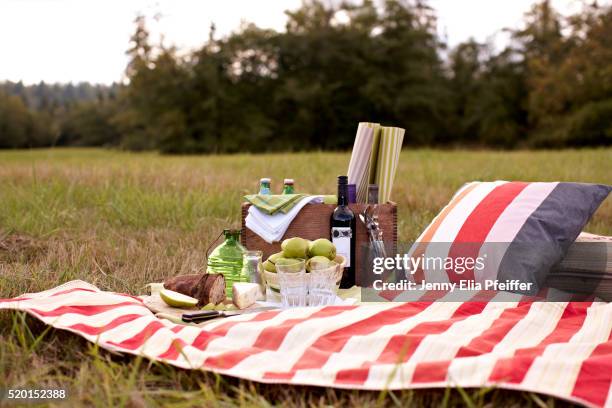 picnic with wine, fruit, bread and cheese on blanket on grass - レジャーシート ストックフォトと画像