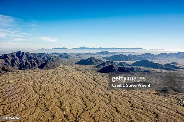 maricopa wilderness - sonoran desert stockfoto's en -beelden