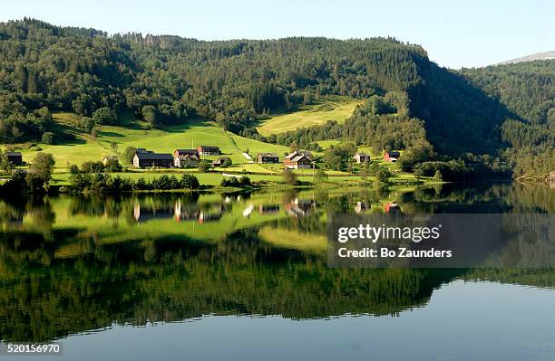 farm village reflected in hardangerfjorden - hardangerfjord ストックフォトと画像