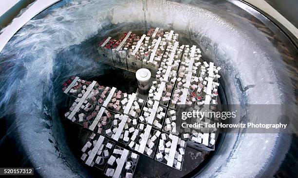 frozen embryos and eggs in nitrogen cooled container. - nitro stock-fotos und bilder