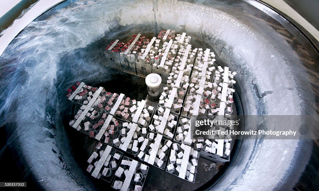 Frozen embryos and eggs in nitrogen cooled container.