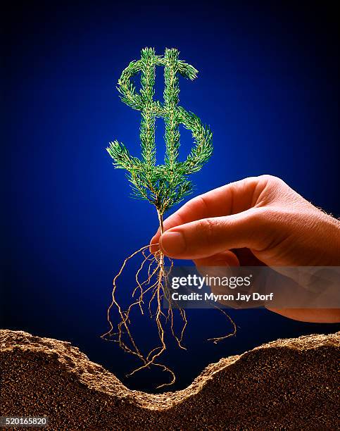 making one's money grow - currency symbol - fotografias e filmes do acervo