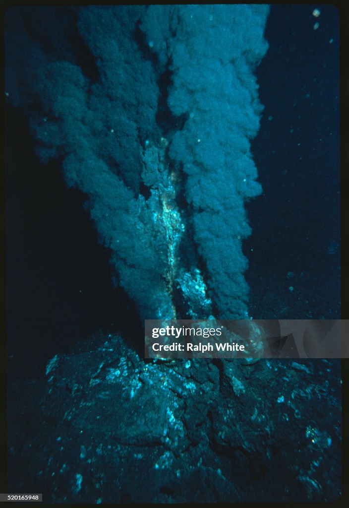 Black Smoker Hydrothermal Vents on East Pacific Rise