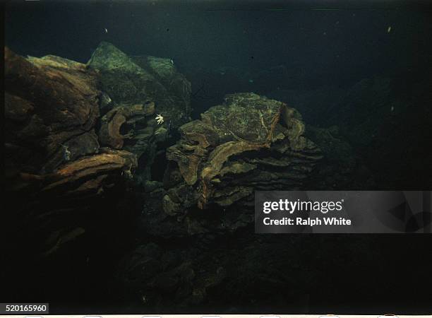 Acifix Raft 840 Rift Zone Stock Photos, High-Res Pictures, and Images - Getty Images