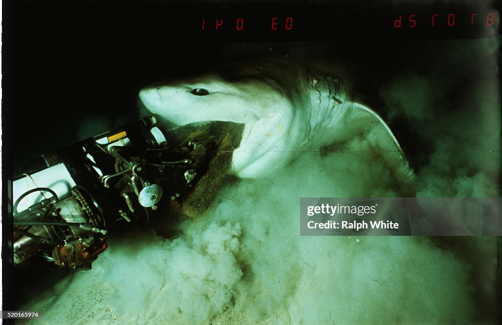 Shark Attacking Submersible's Arm
