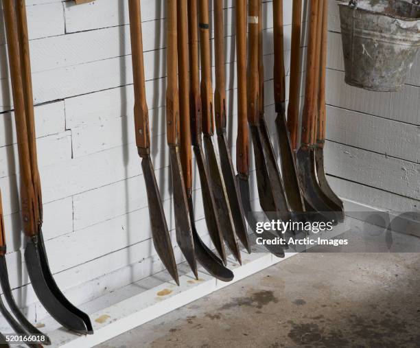 Flensing Flensing Photos and Premium High Res Pictures - Getty Images