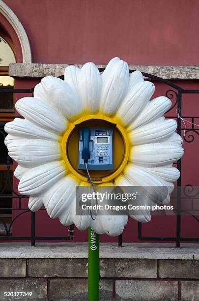 Public Telephone