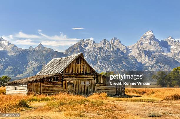 afternoon at ta moulton barn - grand teton imagens e fotografias de stock