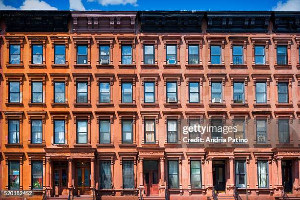 row houses in harlem, new york, 2010 - harlem new york stock pictures, royalty-free photos & images