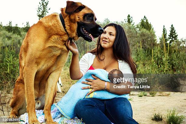 941 Breast Feeding Animals Photos and Premium High Res Pictures - Getty  Images