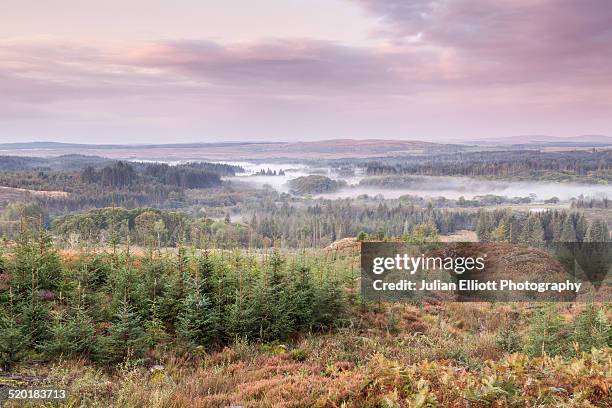 a misty dawn over the galloway forest park - dumfries en galloway stockfoto's en -beelden