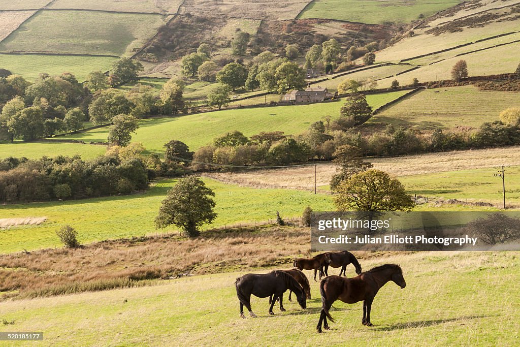 The Peak District countryside in Derbyshire