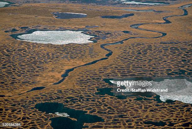 wet tundra landscape, siberia - siberia imagens e fotografias de stock