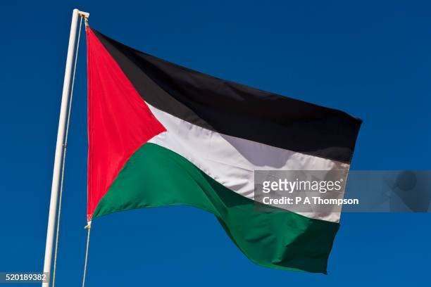 palestinian flag - palästinensische kultur stock-fotos und bilder