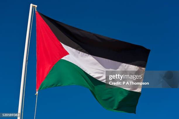 palestinian flag - territórios da palestina - fotografias e filmes do acervo