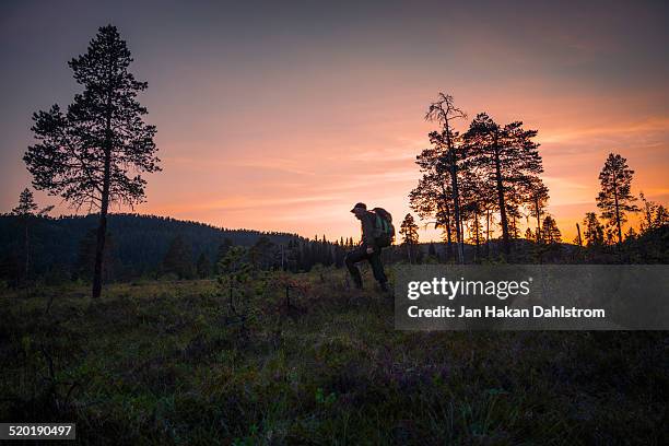 man walking over marsh at dusk - marsh stock pictures, royalty-free photos & images