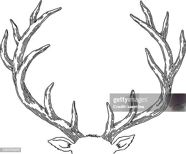 deer - antler 幅插畫檔、美工圖案、卡通及圖標