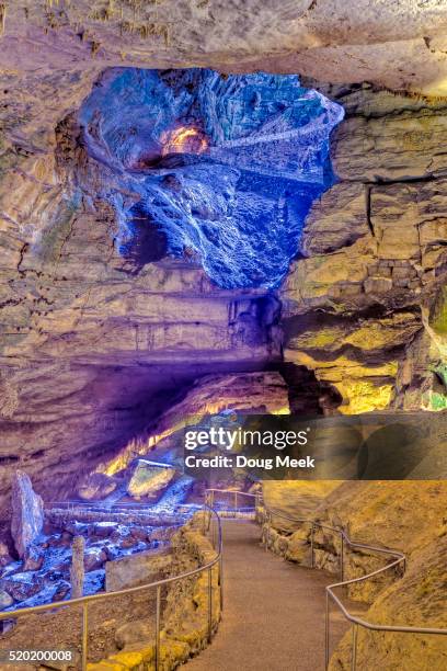 the natural entrance, carlsbad caverns, new mexico - carlsbad caverns national park stock pictures, royalty-free photos & images