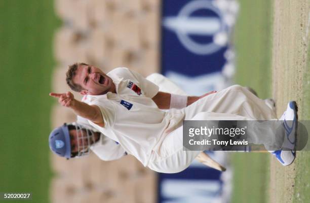 Ryan Harris of the Redbacks appeals for the wicket of Matthew Phelps on day 2 of the Pura Cup match between the Southern Redbacks and the New South...