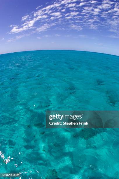 crystalline caribbean sea - providenciales stockfoto's en -beelden