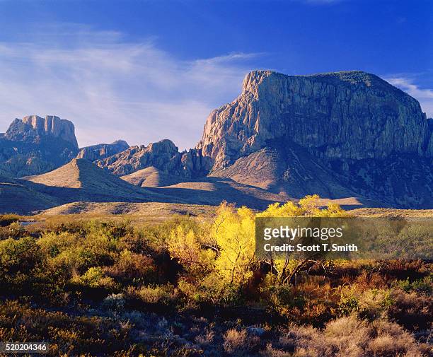 autumn forest at big bend national park - chisos mountains stock pictures, royalty-free photos & images