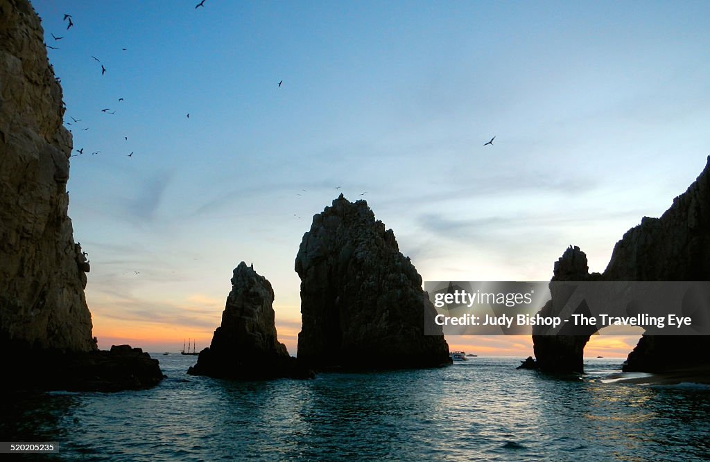 Seabirds around Land's End rocks, at sunset