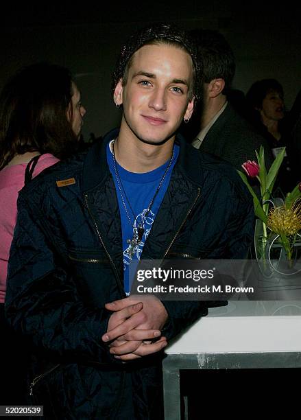 196 Rothhaar Stock Photos, High-Res Pictures, and Images - Getty Images