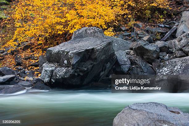 tumwater canyon in autumn - tumwater stock pictures, royalty-free photos & images