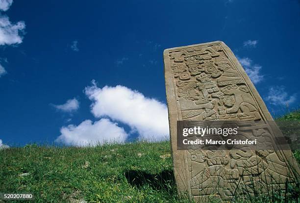 monte alban relief, oaxaca, mexico - teaser stock-fotos und bilder