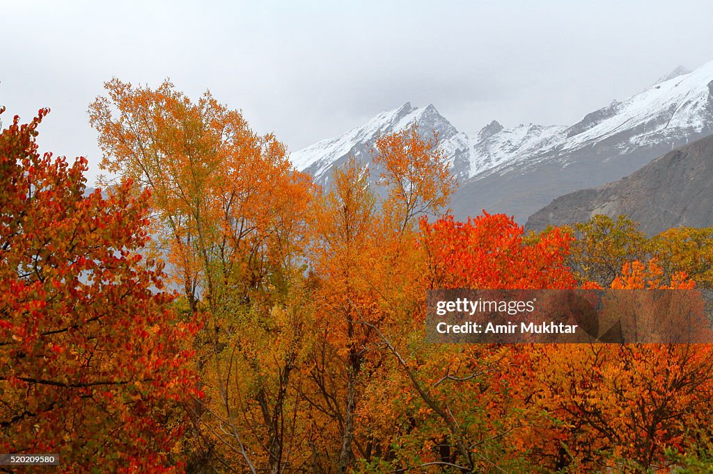 October Pakistan Autumn In Gilgit Baltistan Pakistan High-Res Stock Photo - Getty Images