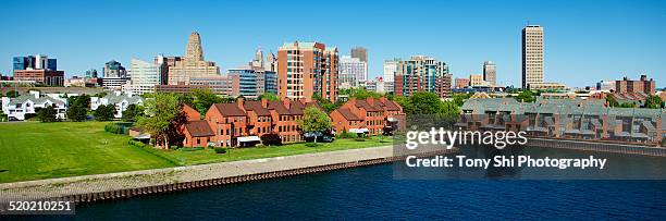 buffalo, new york - bisonte americano fotografías e imágenes de stock
