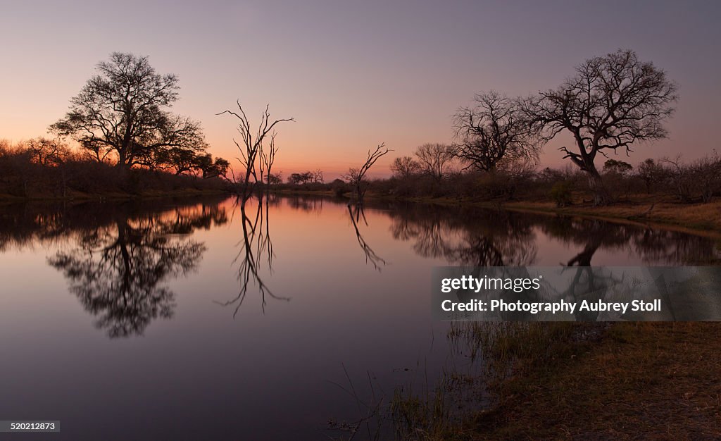 Savuti Channel at Sunset