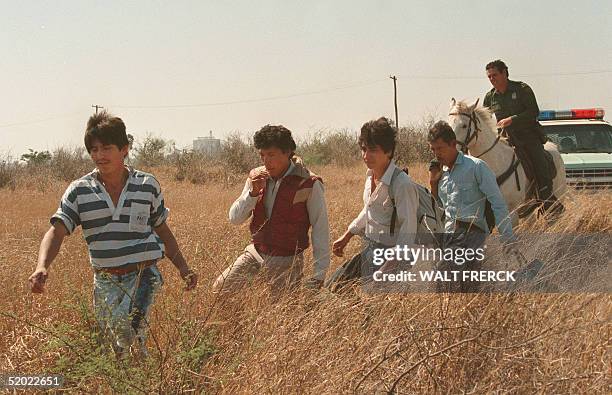 Immigration and Naturalization Service officers arrest 20 February 1989 immigrants who have entered Texas from Mexico seeking asylum in the US. The...