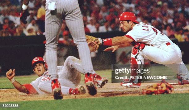 Cincinnati Red Aaron Boone is tagged out at home plate by St. Louis Cardinal catcher Tom Lampkin in the sixth inning. Boone was thrown out of the...